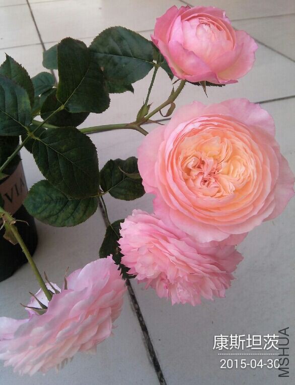 QQͼƬ20150430093448.jpg