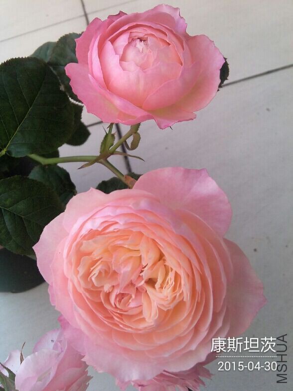 QQͼƬ20150430093514.jpg