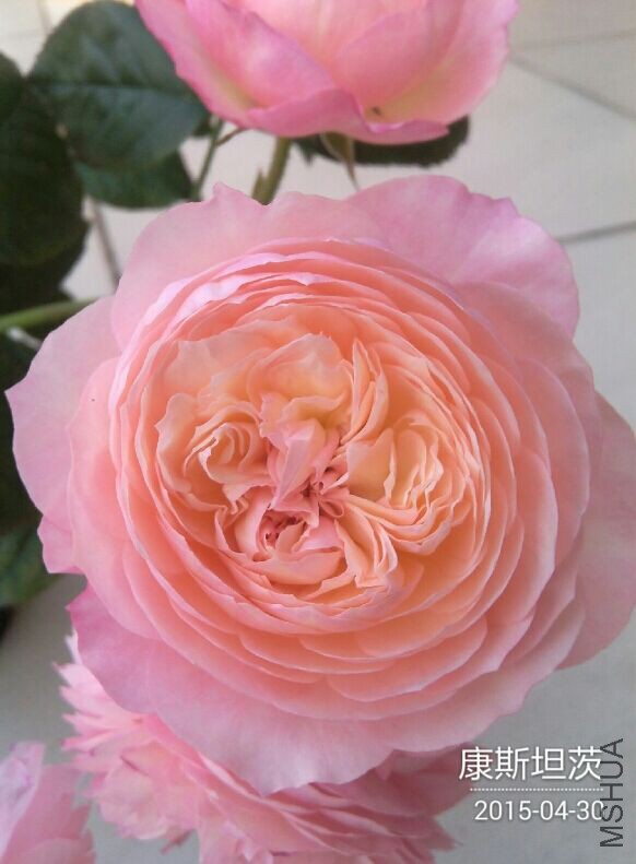 QQͼƬ20150430093533.jpg