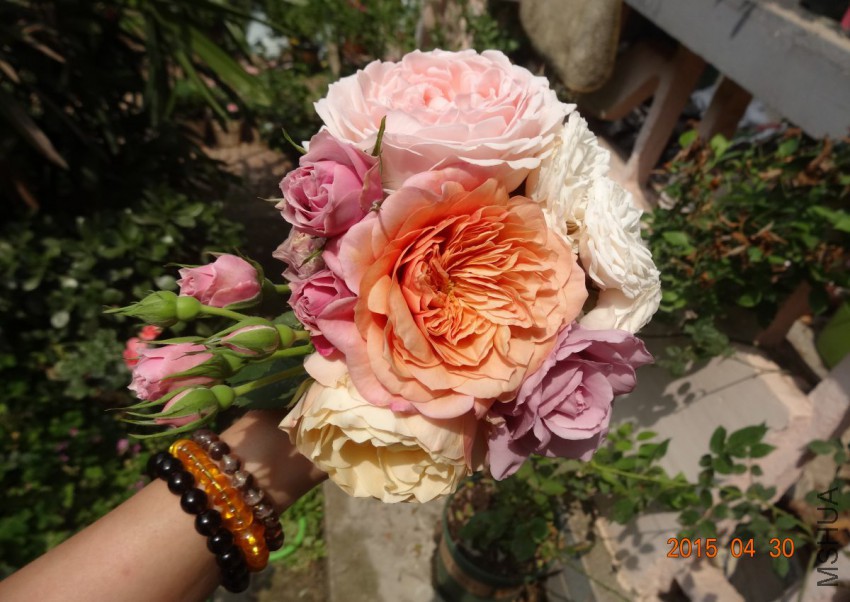 DSC06545.jpg