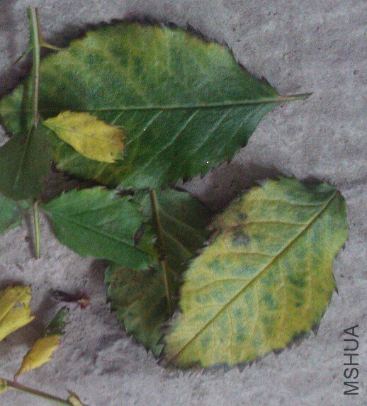 QQ��ͼ20150430120.jpg