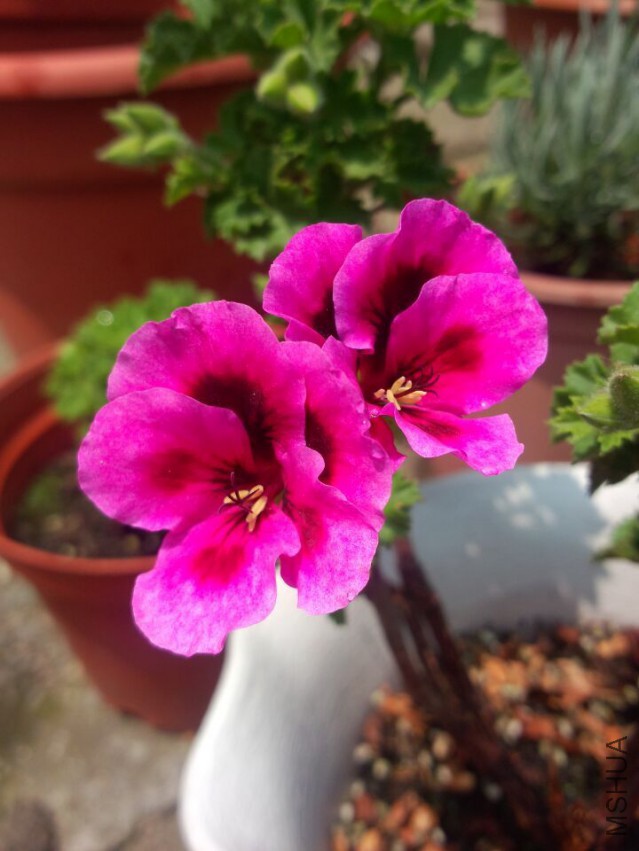 QQͼƬ20150430125118.jpg