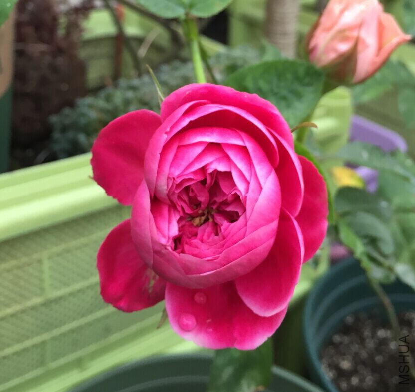 ����