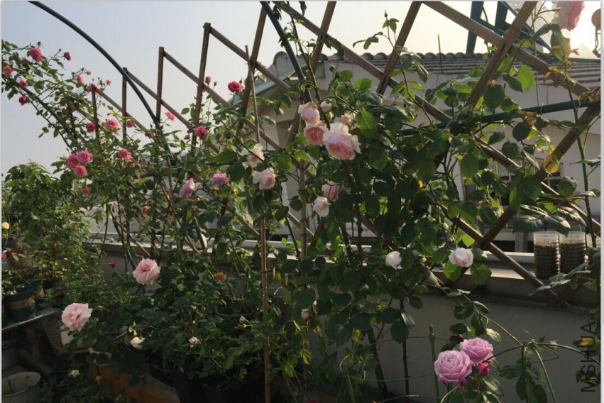 QQͼƬ20150430112902.jpg