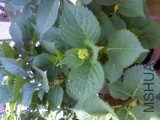 30-04-15_1245.jpg