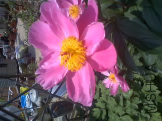 30-04-15_1236.jpg
