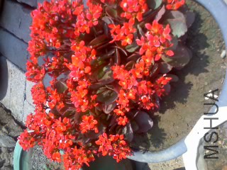 30-04-15_1241.jpg