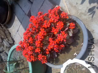 30-04-15_1243.jpg