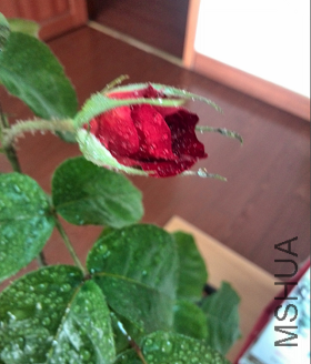 QQ��ͼ20150430144532.png