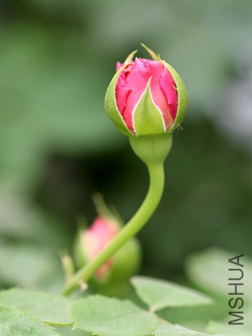 IMG_3714.jpg