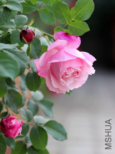 IMG_3692.jpg