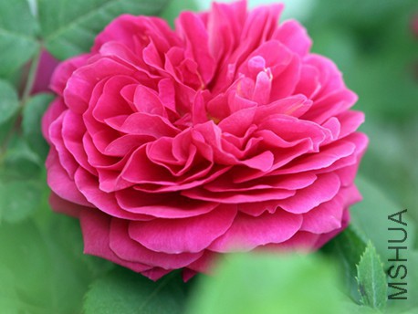 IMG_3828.jpg