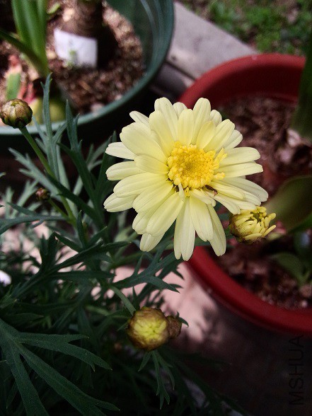 IMG20150430141417.jpg