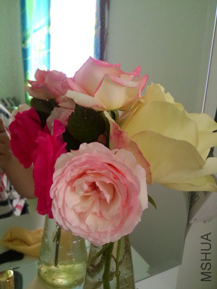IMG20150430101608.jpg