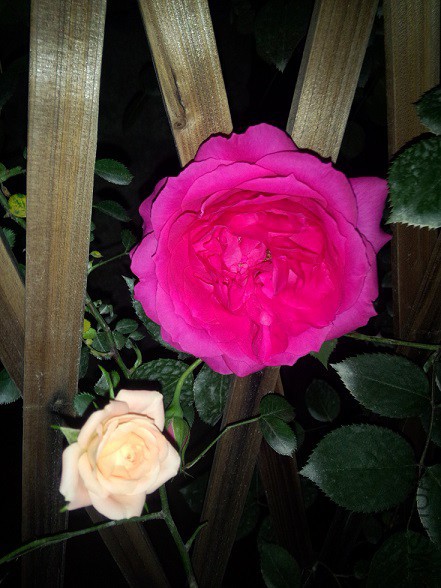 IMG20150430220432.jpg
