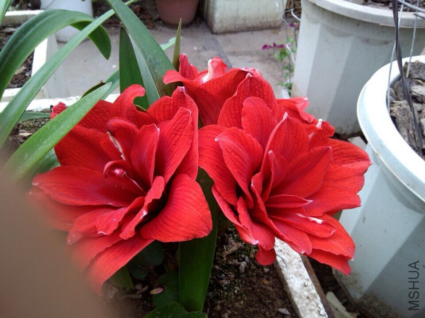 QQͼƬ20150501101041.jpg