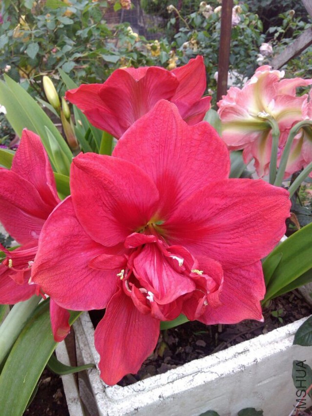 QQͼƬ20150501101101.jpg
