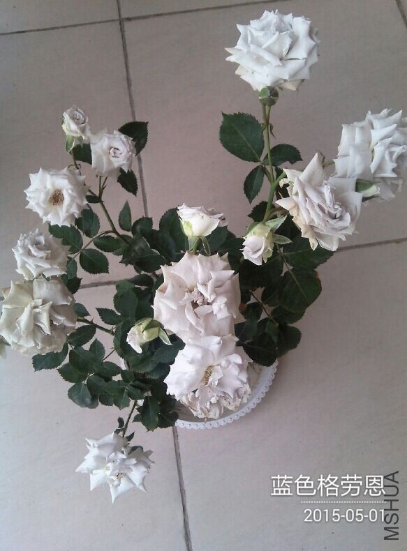 QQͼƬ20150501103239.jpg