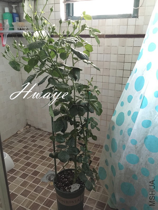 ����һ�綼����ֵ��Ǹ����ϵ�