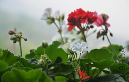 QQͼƬ20150501180341.png