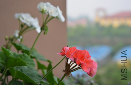 QQͼƬ20150501180355.png