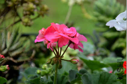 QQͼƬ20150501180104.png