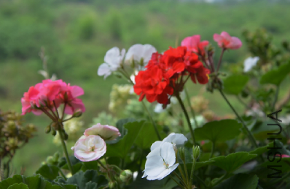 QQͼƬ20150501180134.png