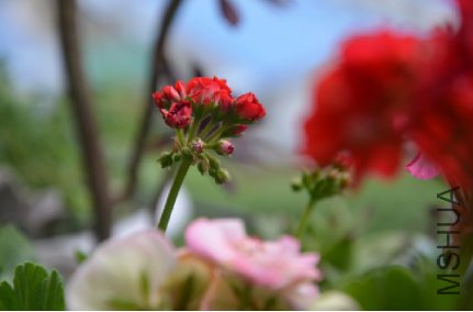 QQͼƬ20150501180220.png