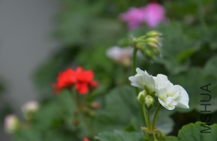 QQͼƬ20150501180254.png