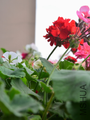 QQͼƬ20150501180912.png