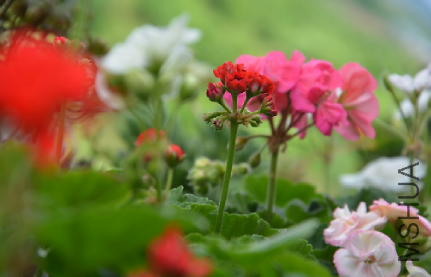 QQͼƬ20150501180310.png