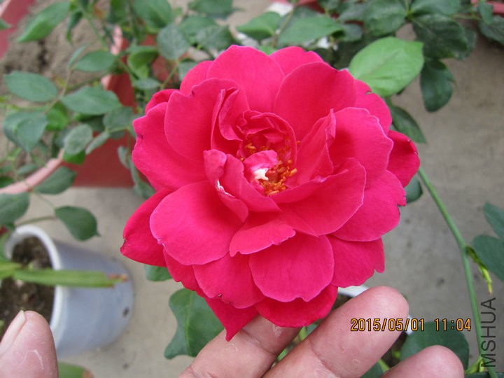 IMG_1899.JPG