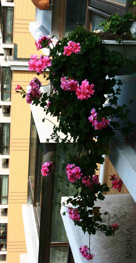 024_����.jpg