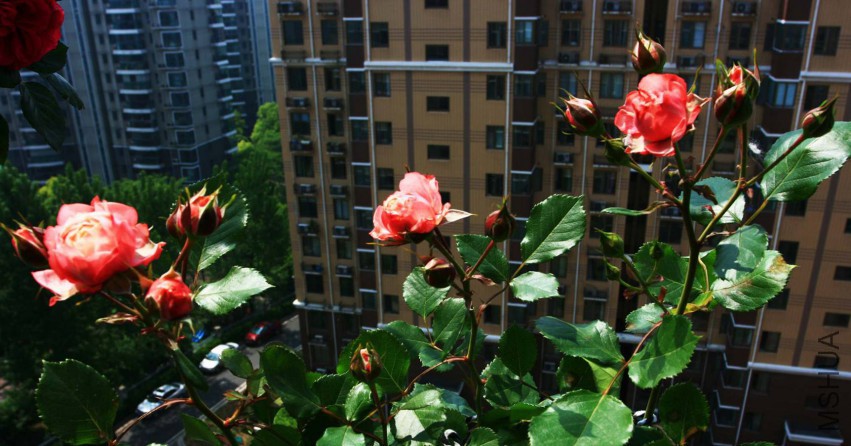 042_����.jpg