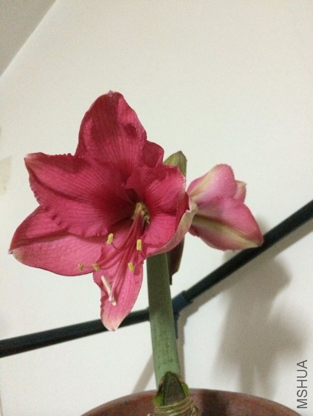 QQͼƬ20150502111929.jpg