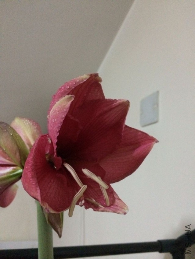 QQͼƬ20150502111939.jpg