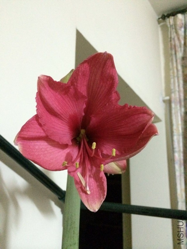 QQͼƬ20150502111944.jpg