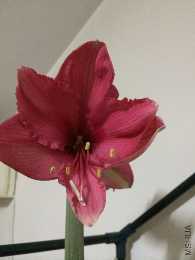 QQͼƬ20150502111949.jpg