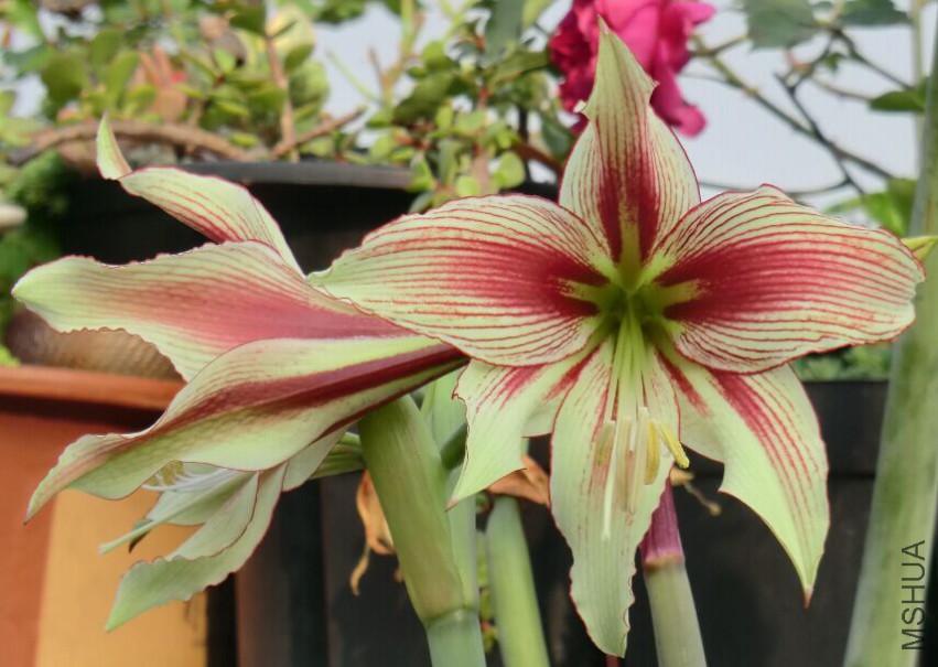 QQͼƬ20150502105358.jpg