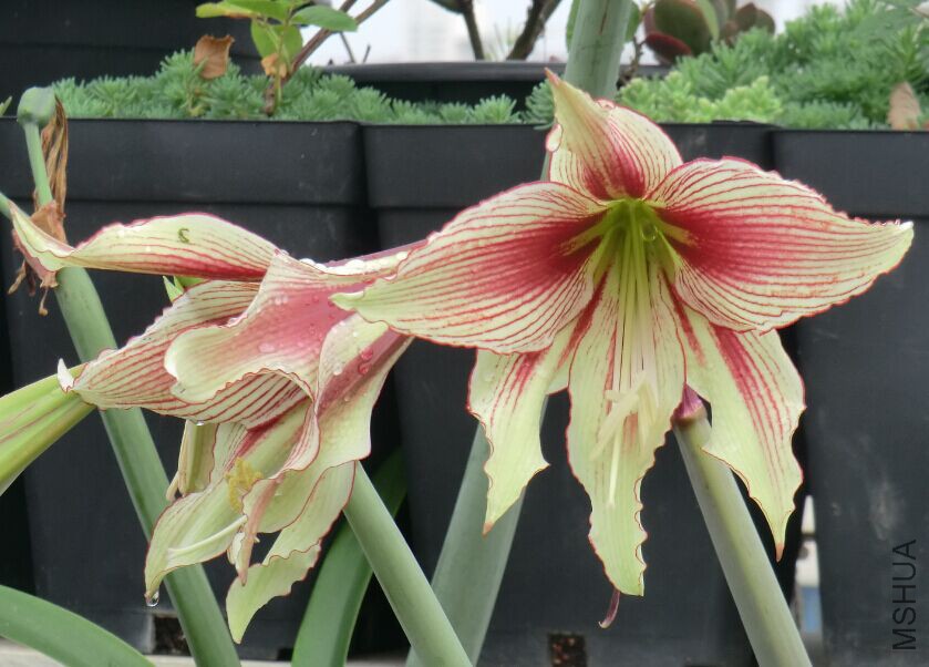 QQͼƬ20150502105604.jpg