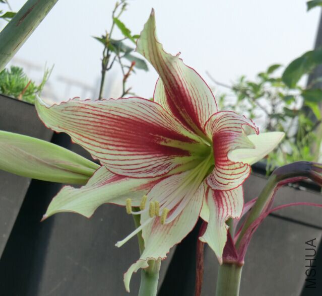 QQͼƬ20150502104827.jpg