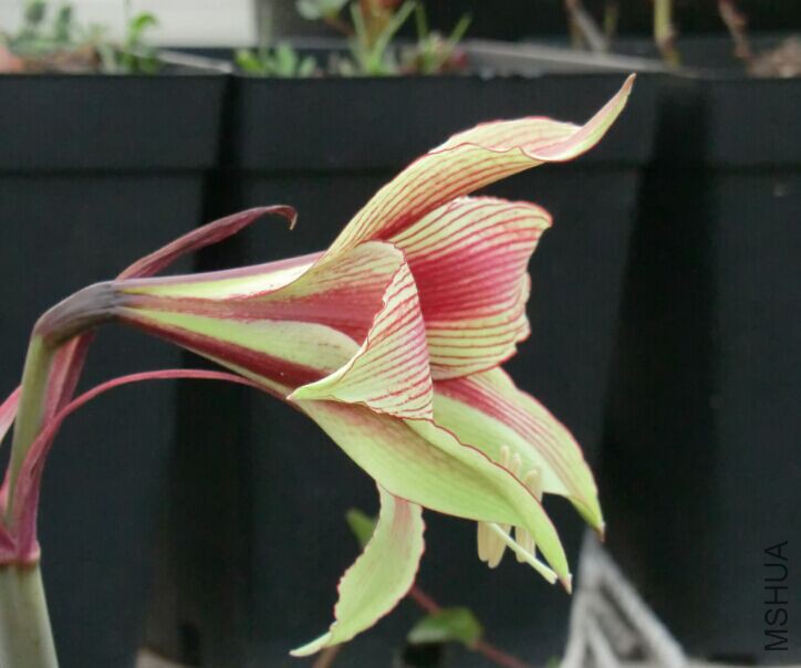 QQͼƬ20150502103846.jpg