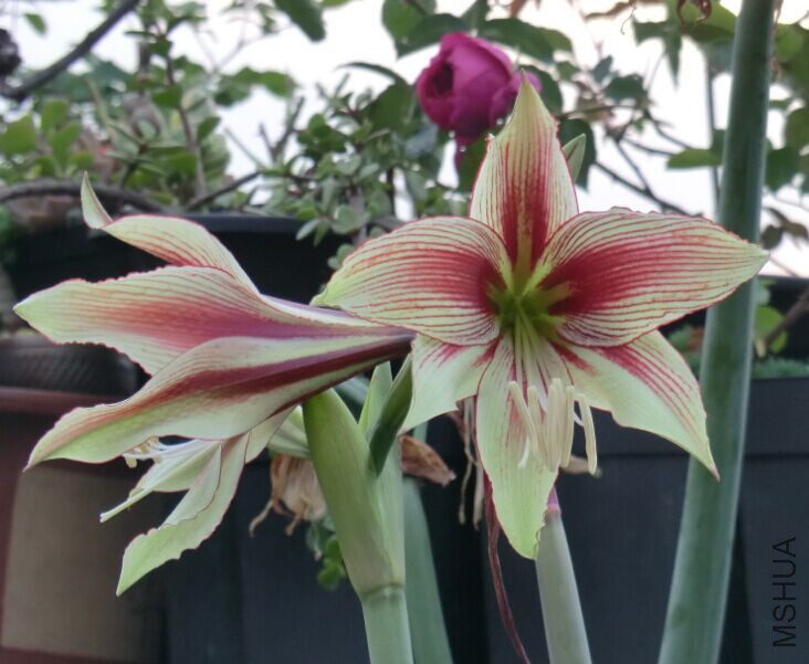 QQͼƬ20150502103659.jpg