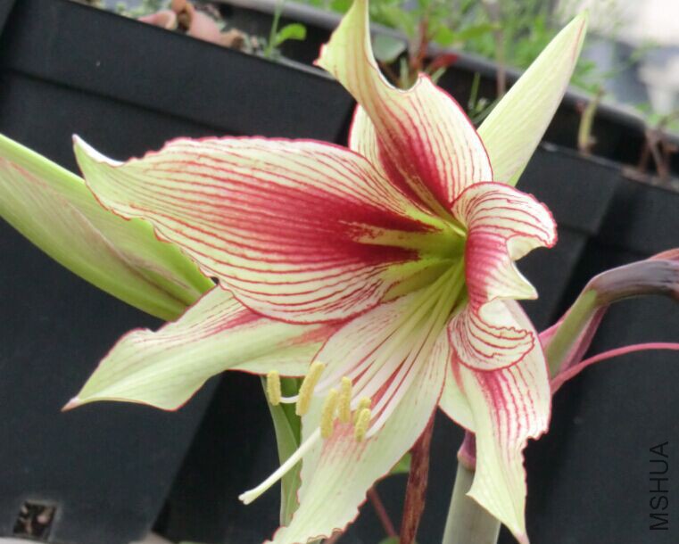 QQͼƬ20150502103521.jpg
