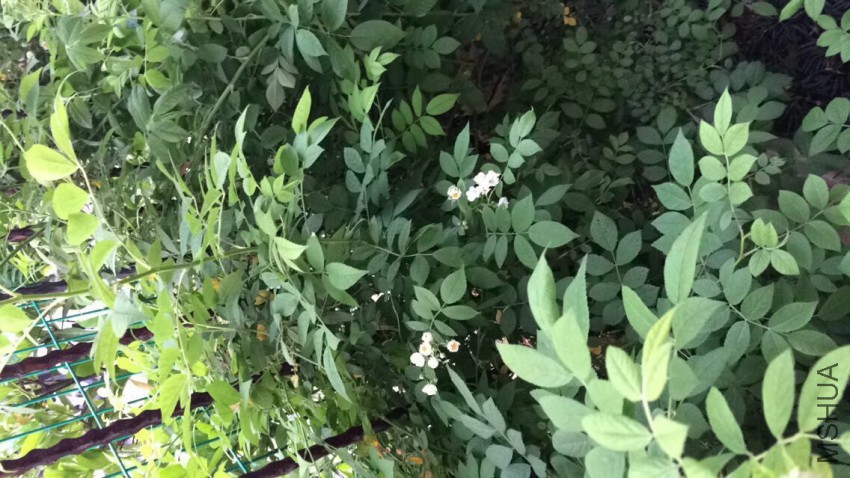 QQͼƬ20150502135328.jpg