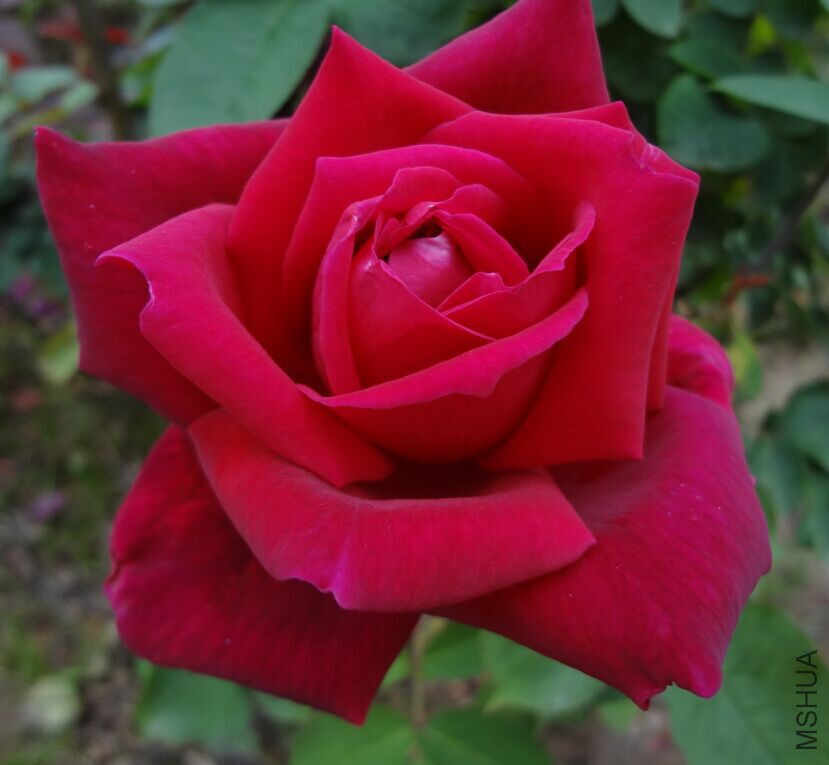 20150502170142.jpg