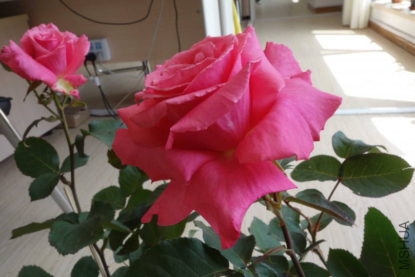 DSC02473.JPG