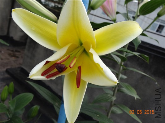 DSC08810.jpg