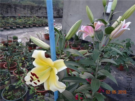 DSC08859.jpg