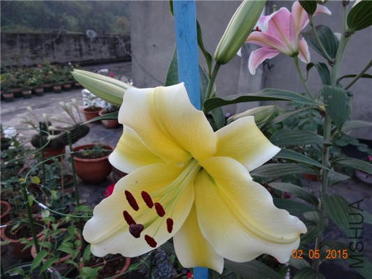 DSC08862.jpg